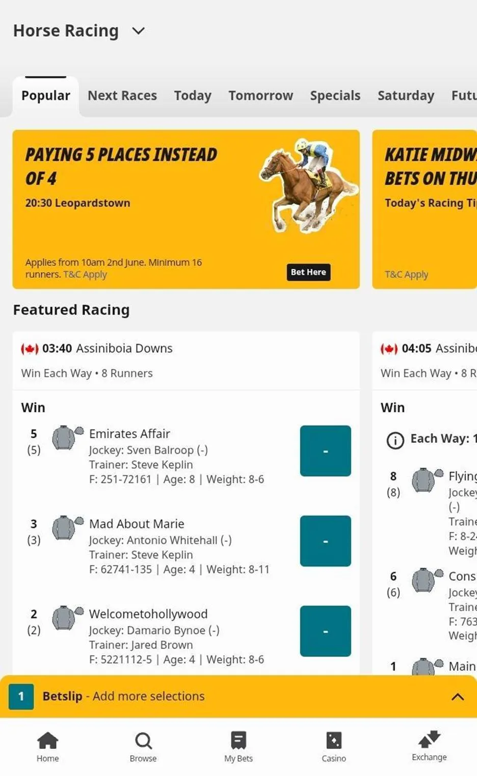 Betfair horse racing review