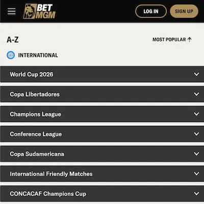 BetMGM football markets